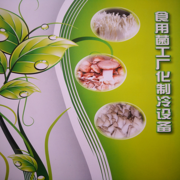 雙鴨山菌類庫